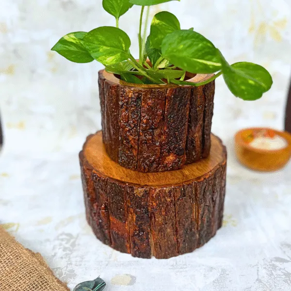 Wood_Rustic_Small_Planter