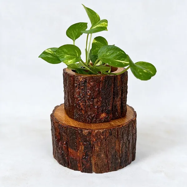 Wood_Rustic_Small_Planter