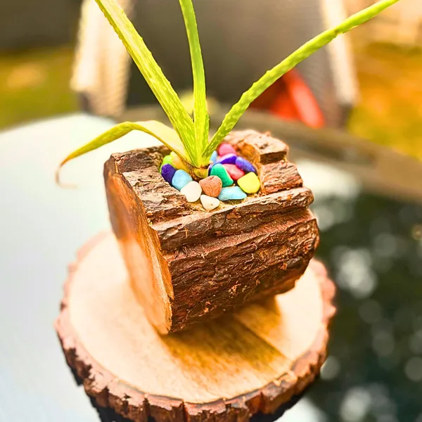 Wood_Rustic_Bark_Finish_Log_Planter