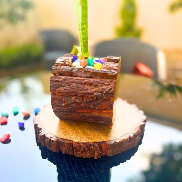 Wood_Rustic_Bark_Finish_Log_Planter