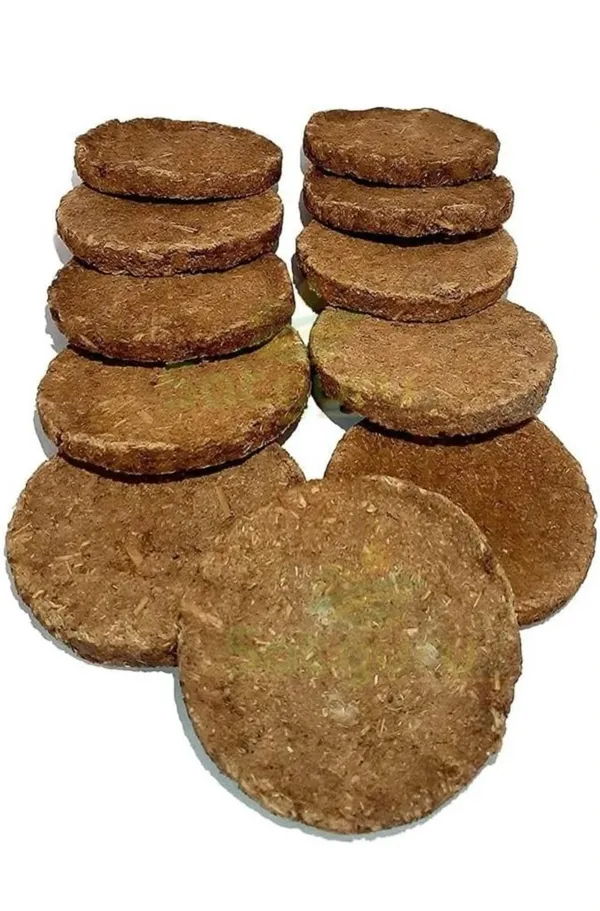 Round_Dried_Cow_Dung_Cakes