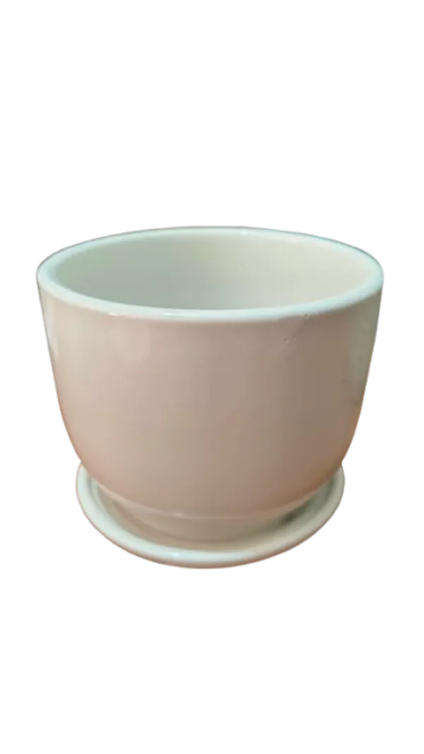 Beige_Minimalist_Plain_Planter_Pot_With_Saucer