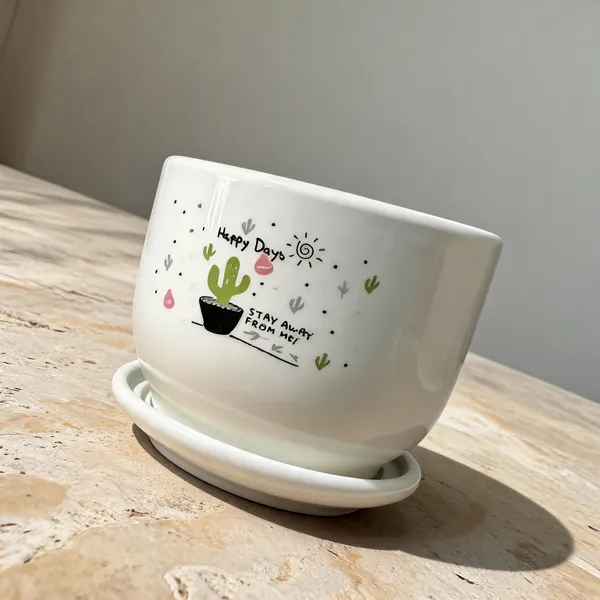Ceramic_Decorative_Cactus_Print_Planter_Pot_With_Saucer