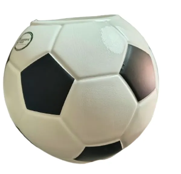 White_And_Black_Panel_Football