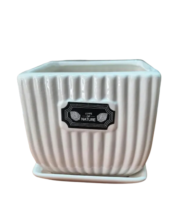 Ceramic_Ribbed_Planter_Pot_With_Saucer