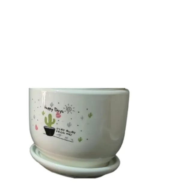 Ceramic_Cactus_Print_Planter_Pot_With_Saucer