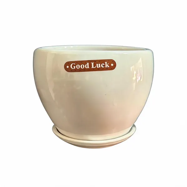 Ceramic_Decorative_Good_Luck_Print_Planter_Pot_With_Saucer