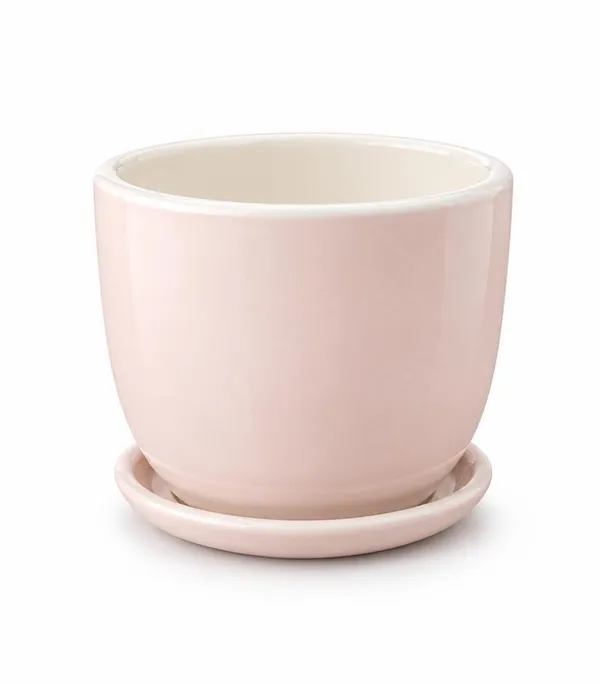 Pink_Ceramic_Plant_Pot_With_Saucer