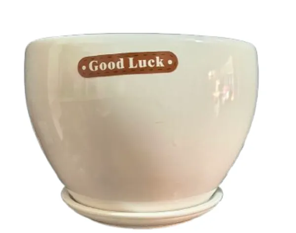 Ceramic_Decorative_Printed_Planter_Pot_With_Saucer