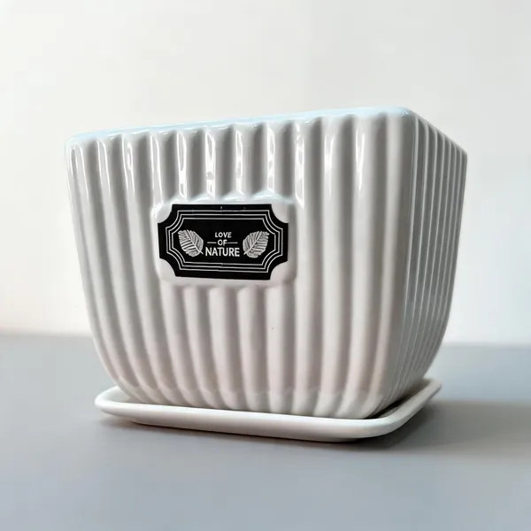 Ceramic_Modern_Ribbed_White_Planter_Pot_With_Saucer