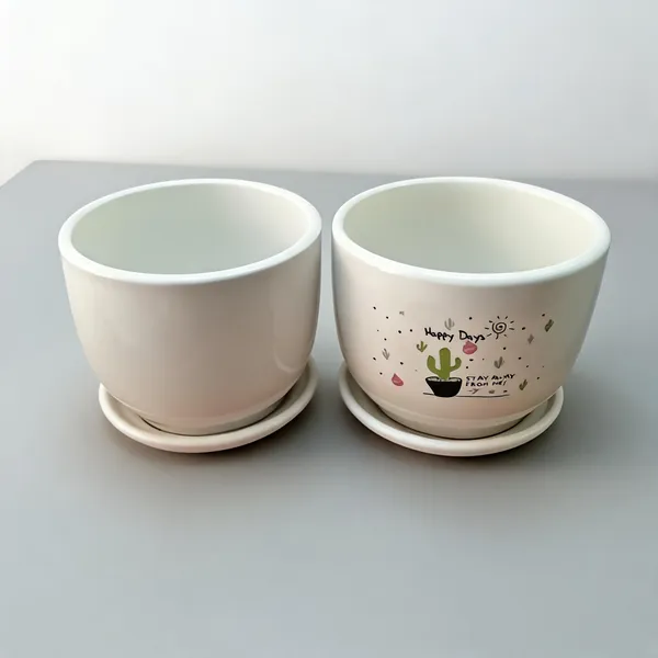 Ceramic_Cactus_Print_Round_Plant_Pots_With_Saucers_Set_Of_2