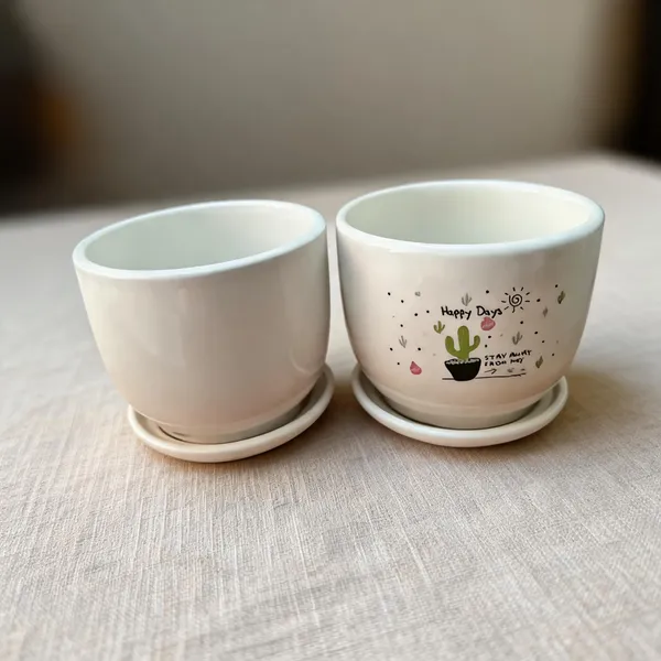 Ceramic_Cactus_Print_Round_Plant_Pots_With_Saucers_Set_Of_2