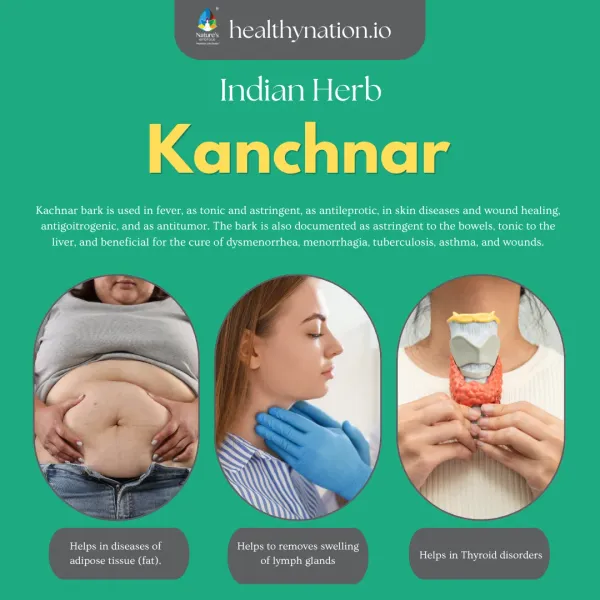 Natural_Kanchnar_Thyroid_Health
