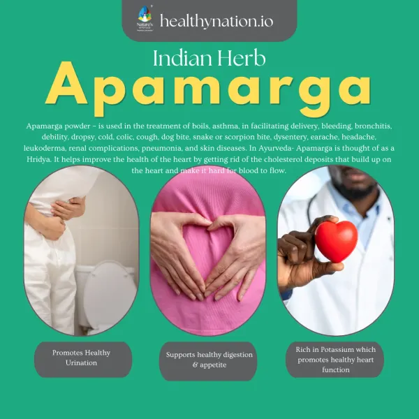 Natural_Apamarga_Urinary_Health