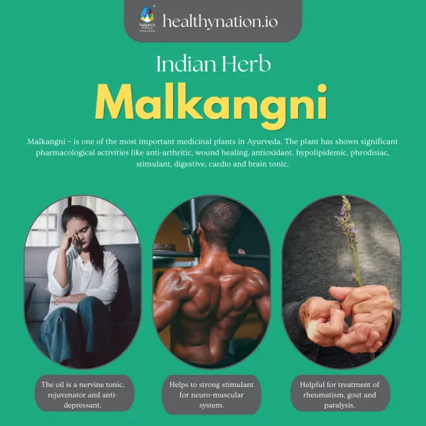 Natural_Malkangni_Stress_&_Mental_Wellness