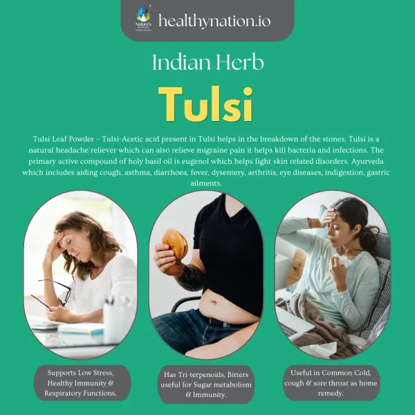 Natural_Krishna_Thulasi_Holy_Basil_Immunity