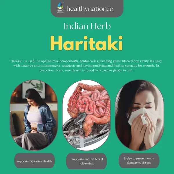 Natural_Haritaki_Digestive_Health