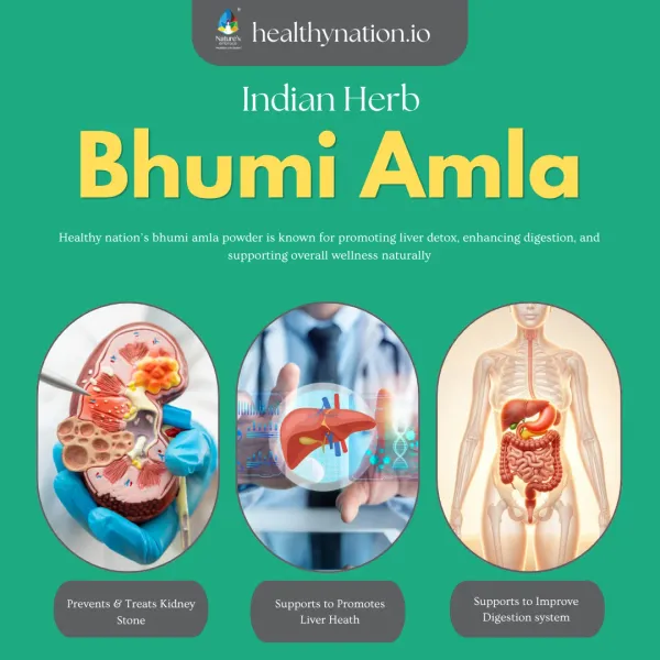 Natural_Bhumi_Amla_Liver_Health