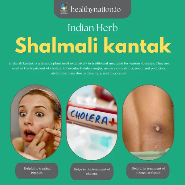 Natural_Shalmali_Kantak_Skin_Care