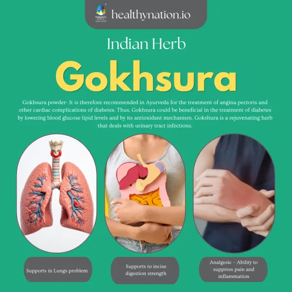 Natural_Gokshura_Urinary_Health