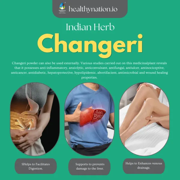 Natural_Changeri_Digestive_Health