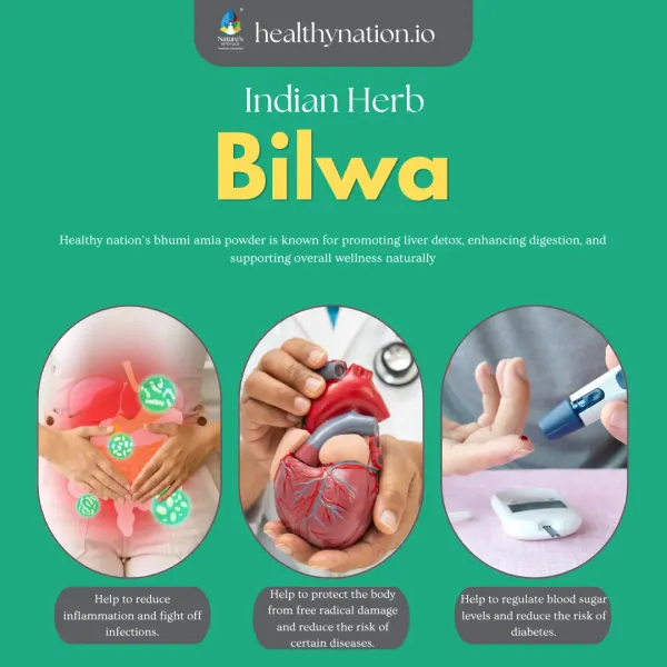 Natural_Bhilwa_Digestive_Health