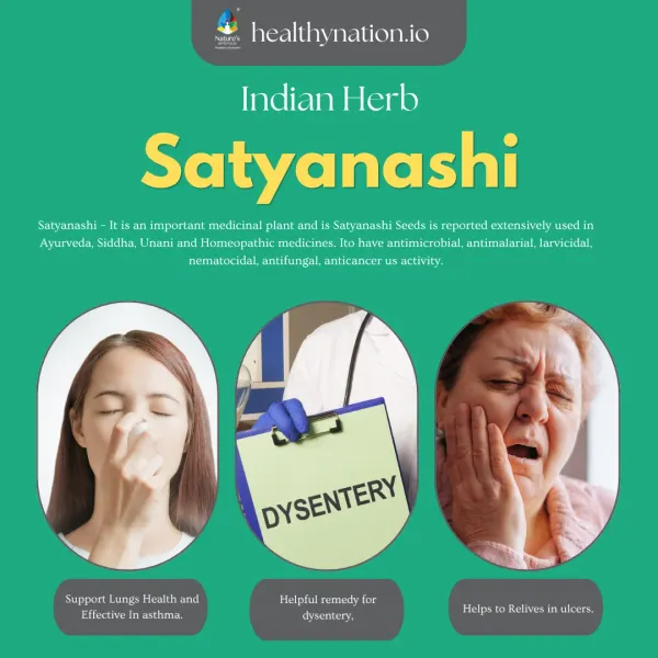 Natural_Satyanashi_Skin_Care