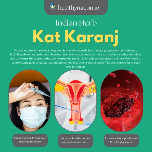 Natural_Kat_Karanj_Digestive_Health