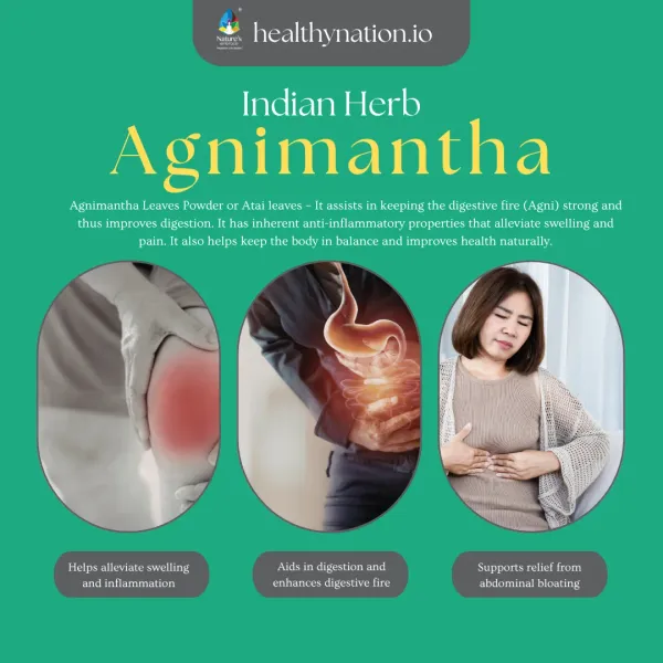 Natural_Arani_Glory_Bower_Joint_Health