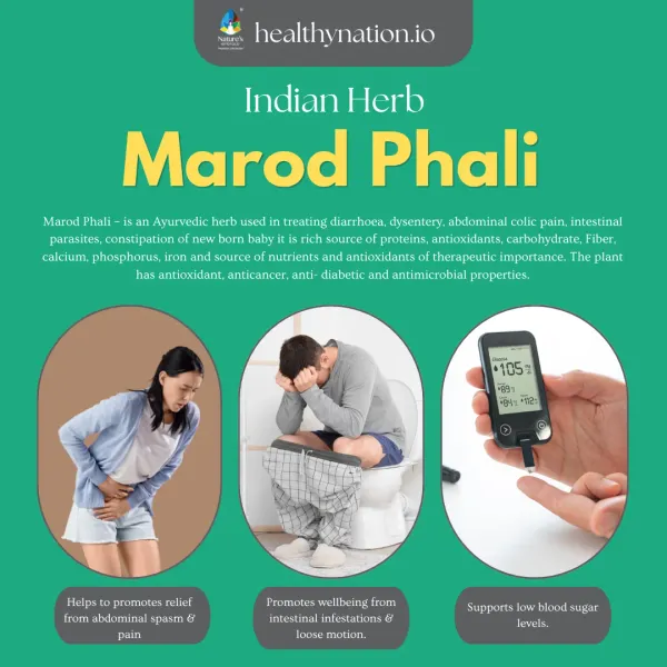 Natural_Marod_Phali_Digestive_Health