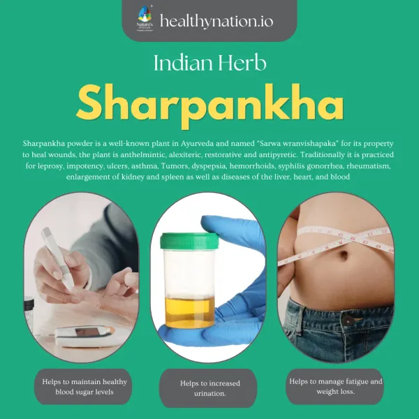 Natural_Dhamasia_Wild_Indigo_Liver_Health