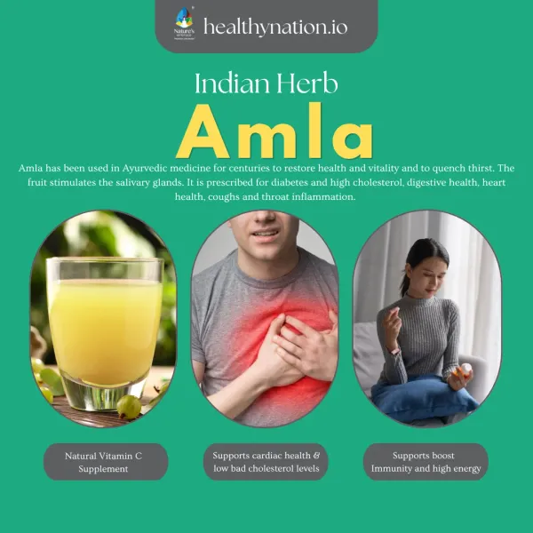 Natural_Amalika_Indian_Gooseberry_Immunity