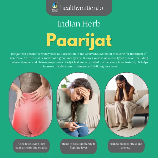 Natural_Harsingar_Night_Jasmine_Joint_Health