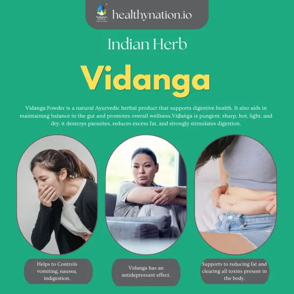 Natural_Vidanga_Digestive_Health