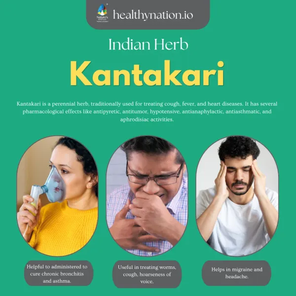 Natural_Kantakari_Respiratory_Health