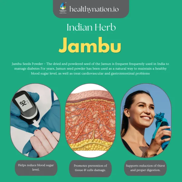Natural_Jambu_Seeds_Blood_Sugar_Management