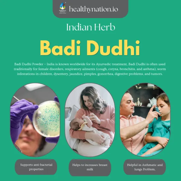 Natural_Badi_Dudhi_Digestive_Health