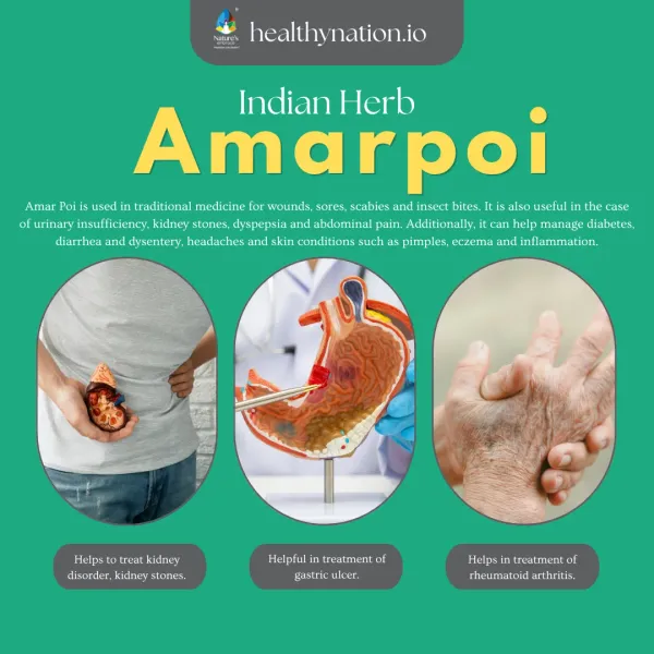 Natural_Amar_Poi_Liver_Health