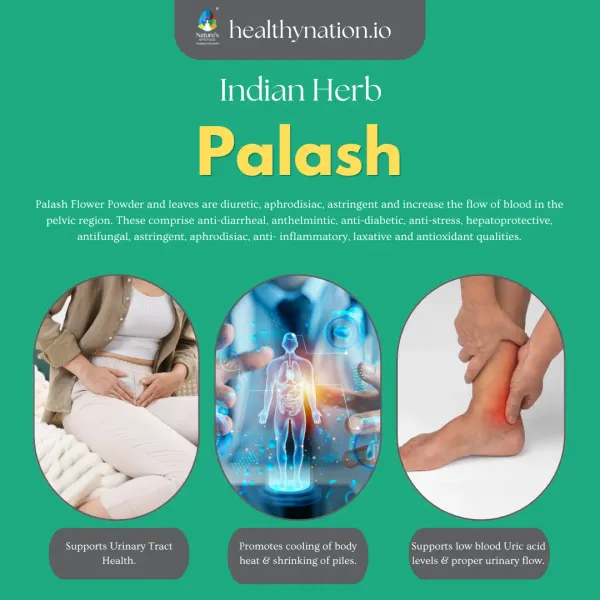 Natural_Palash_Flowers_Skin_Care