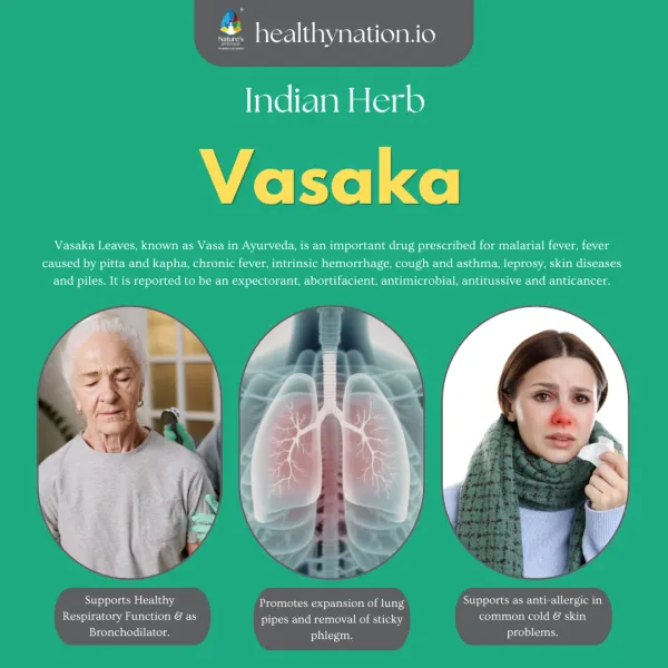 Natural_Araduso_Malabar_Nut_Respiratory_Health