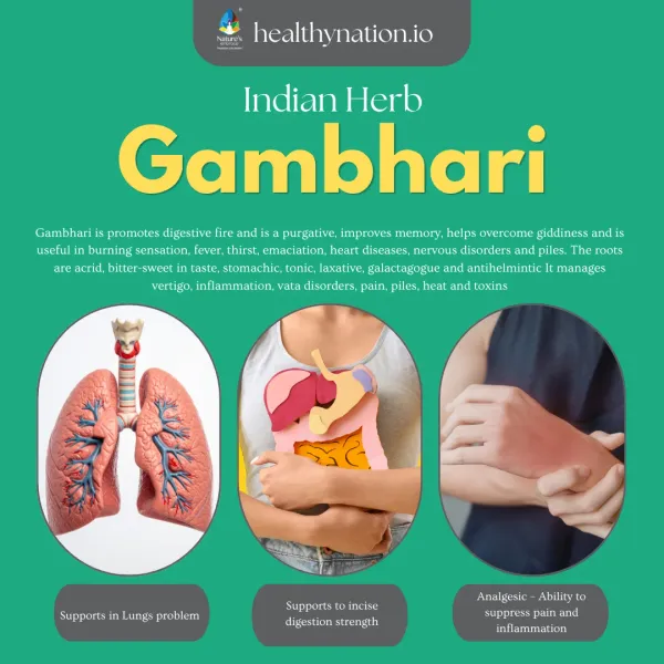 Natural_Gambhari_Women'S_Health