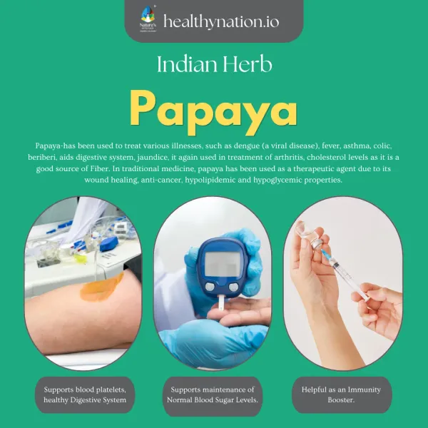 Natural_Papaya_Leaf_Immunity