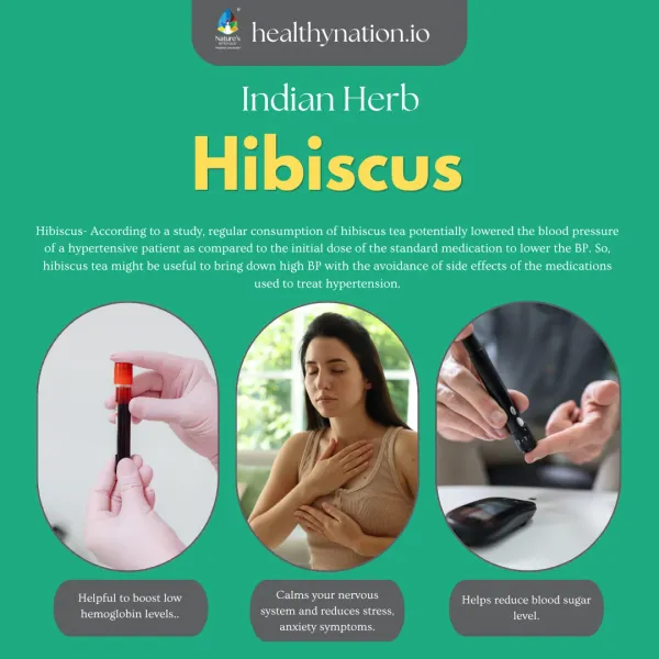 Natural_Hibiscus_Flowers_General_Wellness