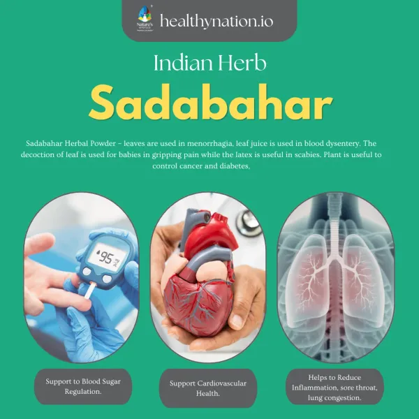 Natural_Sadabahar_Blood_Sugar_Management