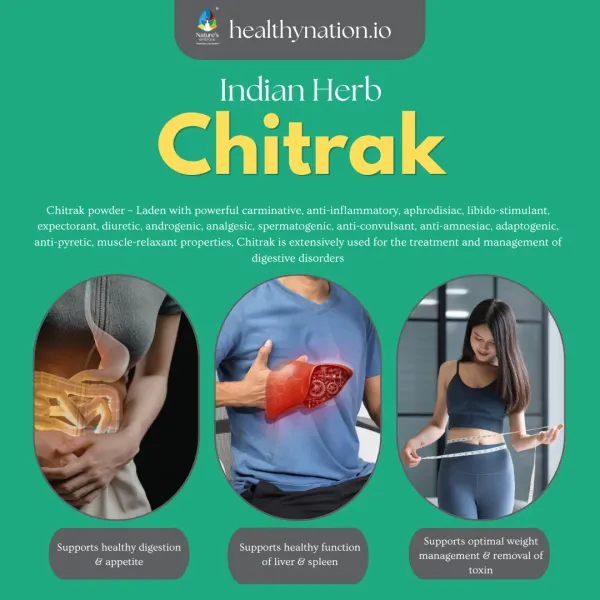 Natural_Chitrak_Digestive_Health
