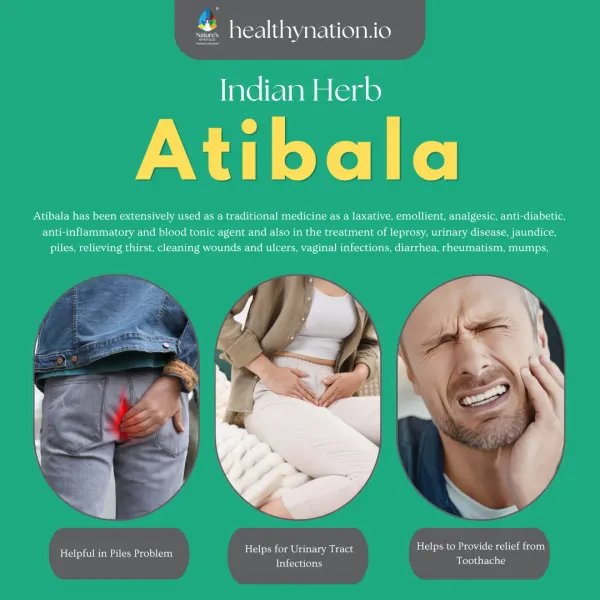 Natural_Ban_Kukra_Ban_Kuiya_Petari_Atibaalu_General_Wellness