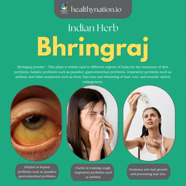 Natural_Uija_Bhangra_Kukar_Madhuka_Ajagara_Mako_Kesharanjana_Hair_Care