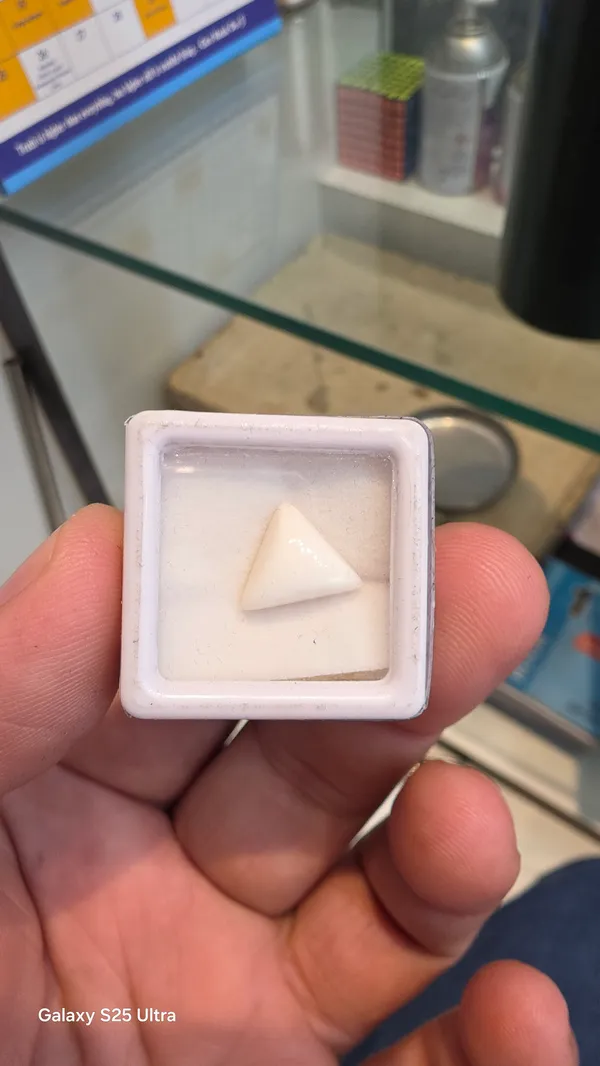 White_Natural_Triangular_Coral_Gemstone_For_Unisex
