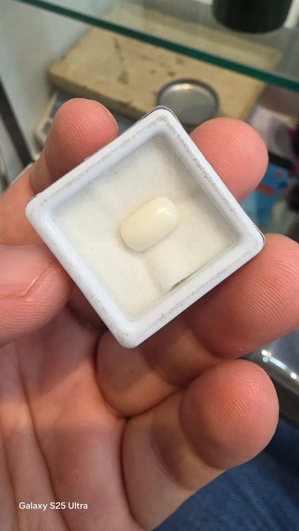 White_Natural_Oval_Coral_Bead_For_Unisex