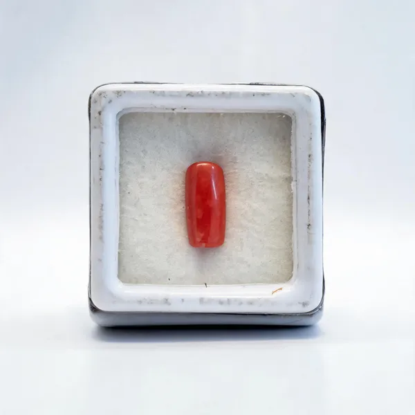 Red_Natural_Oval_Coral_Gemstone_For_Unisex